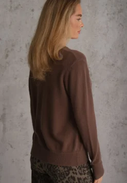 Brązowy Casualowy Sweter o Klasycznym Fasonie z Okrągłym Dekoltem Pilare