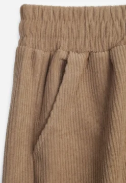 Ciemnobeżowe Spodnie o Szerokim Kroju High Waist z Wiązaniem w Pasie Ettianne